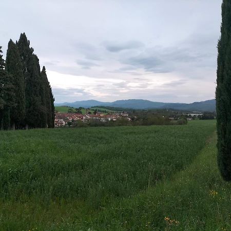 La Casetta Di Bruno Sul Passo Della Futa Traversa Luaran gambar